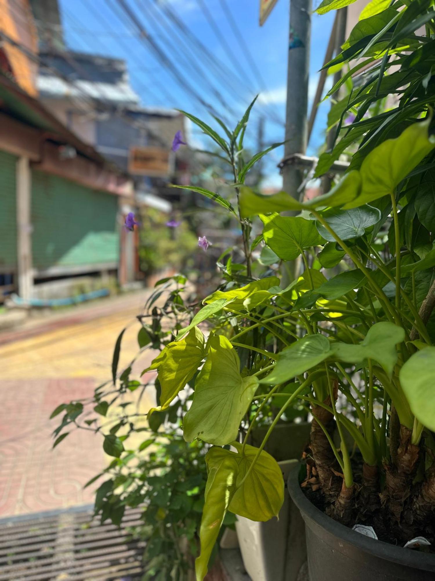 Bang Sit Guest House Phi Phi Don Exterior foto